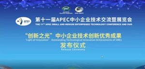 սٻʮһAPECСҵ֮⡱Ч